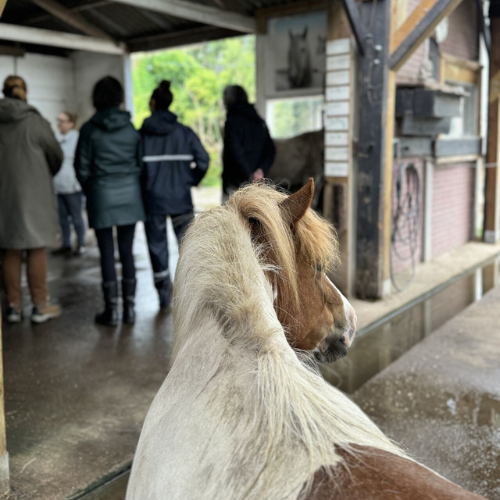 Een wereld vol verschil