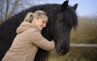 Wanneer paarden de spiegel worden van de supervisor